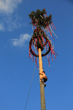 01.05.2014 Maibaumaufstellen Bad Vigaun