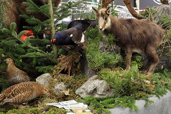 Hohe Jagd & Fischerei 2026
