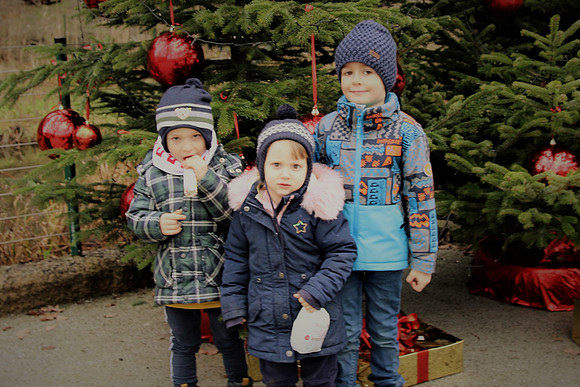 Weihnachtsstimmung im Zoo