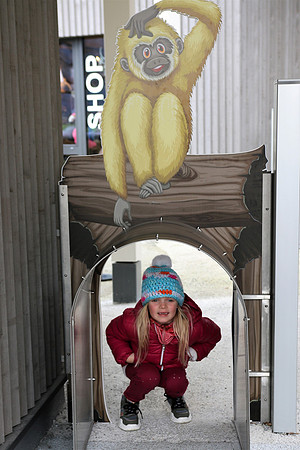 Weihnachtsstimmung im Zoo