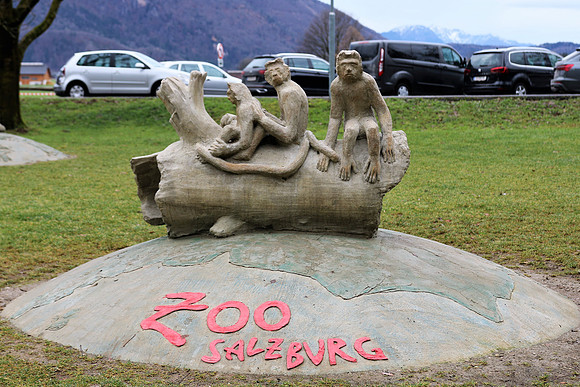 Weihnachtsstimmung im Zoo