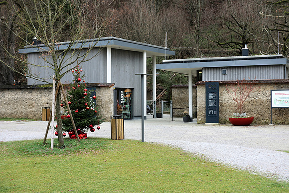 Weihnachtsstimmung im Zoo