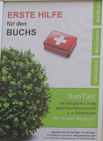 Wüst mi Pflanzen