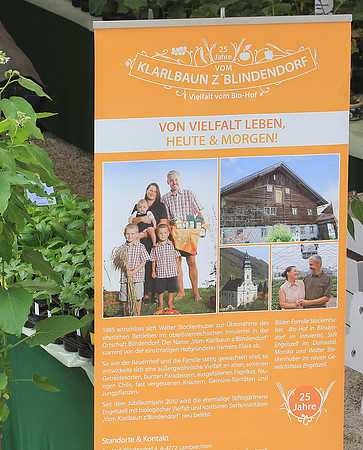 Wüst mi Pflanzen