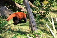 Salzburger Zoo
