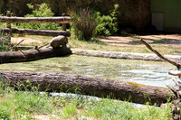 Salzburger Zoo