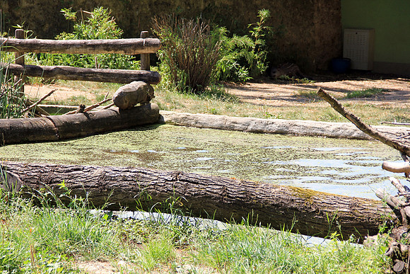 Salzburger Zoo