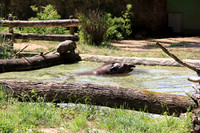 Salzburger Zoo