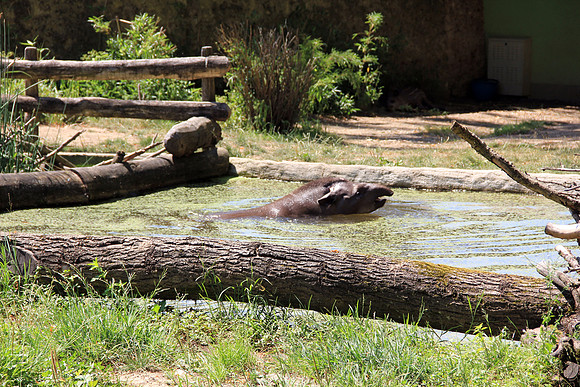 Salzburger Zoo