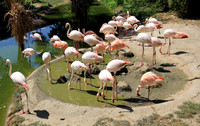 Salzburger Zoo