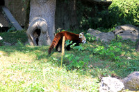 Salzburger Zoo