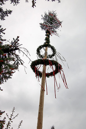 01.05.2022 Maibaumaufstellen Bad Vigaun