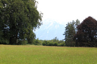 Rif - Urstein