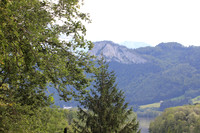 Rif - Urstein