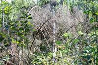 Naturwelt Neydharting