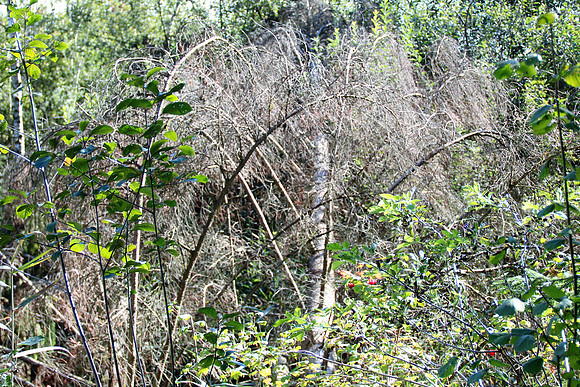 Naturwelt Neydharting