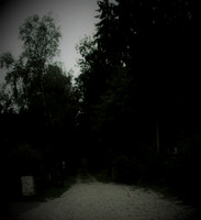 Naturwelt Neydharting