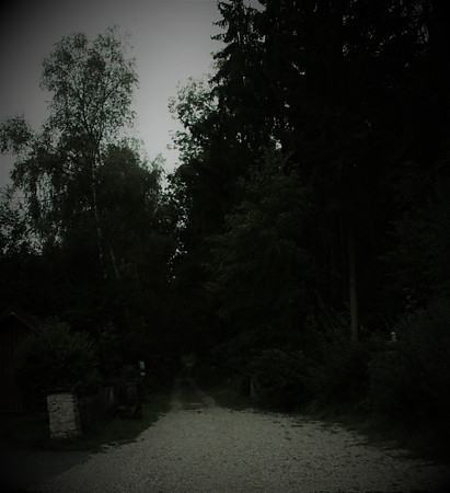 Naturwelt Neydharting