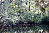 Naturwelt Neydharting