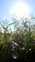 Naturwelt Neydharting