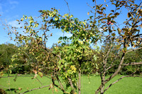 Naturwelt Neydharting