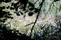 Naturwelt Neydharting