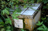 Naturwelt Neydharting