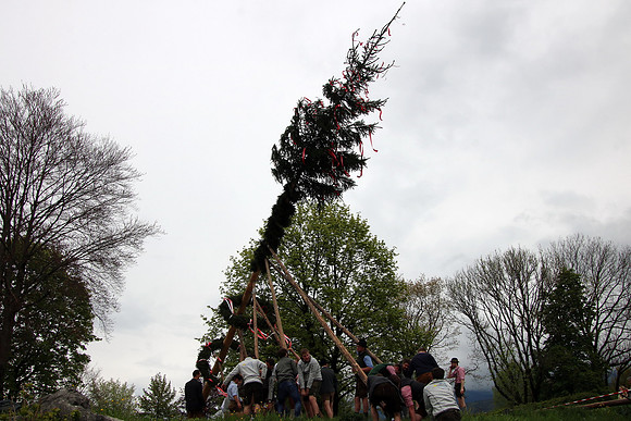 01.05.2022 Maibaumaufstellen Kuchl