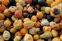 Herbst im Tennengau