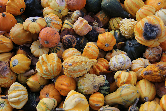 Herbst im Tennengau