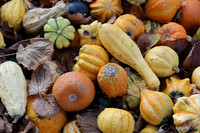 Herbst im Tennengau