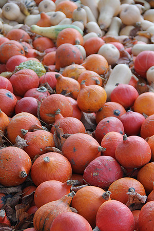 Herbst im Tennengau