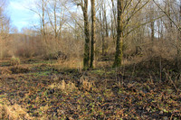 Herbst im Tennengau