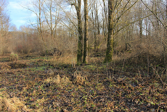 Herbst im Tennengau