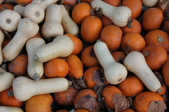 Herbst im Tennengau