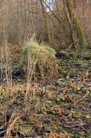 Herbst im Tennengau