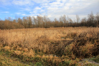 Herbst im Tennengau