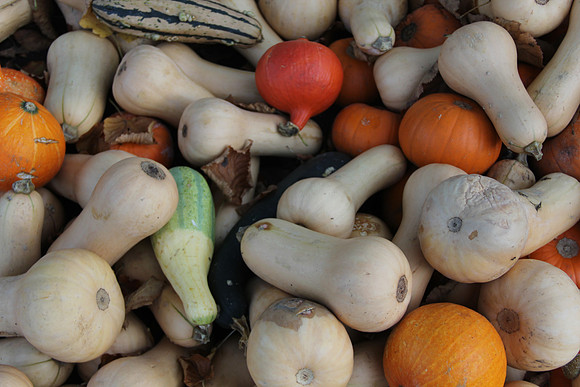 Herbst im Tennengau