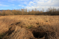 Herbst im Tennengau
