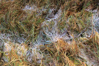 Herbst im Tennengau