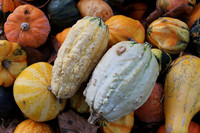Herbst im Tennengau