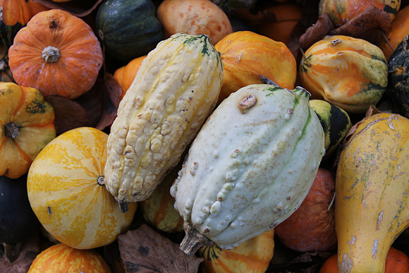 Herbst im Tennengau