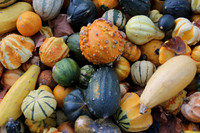 Herbst im Tennengau