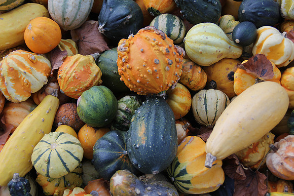 Herbst im Tennengau