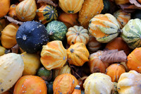 Herbst im Tennengau