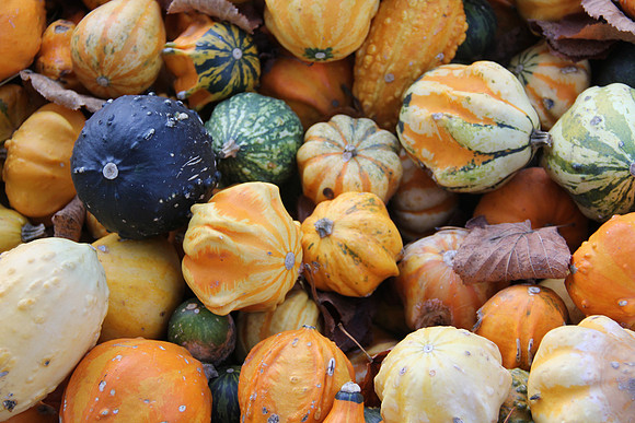 Herbst im Tennengau