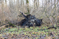 Herbst im Tennengau