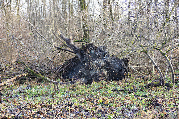 Herbst im Tennengau