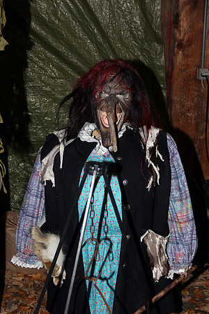 Perchten & Krampus