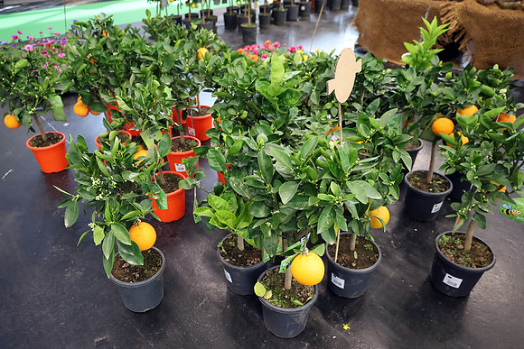 Auto-, Garten & Freizeitmesse Salzburg